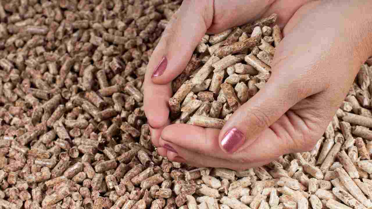 biomasse pellet