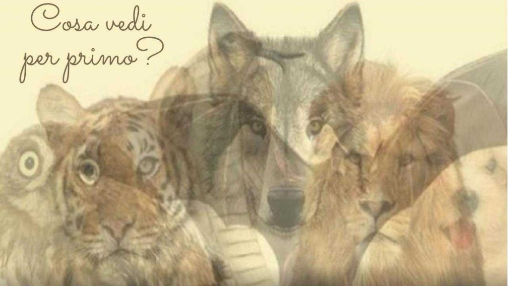 Quale animale vedi per primo? La risposta rivelerà un lato del carattere che non conosci Quale animale vedi per primo? La risposta rivelerà un lato del carattere che non conosci