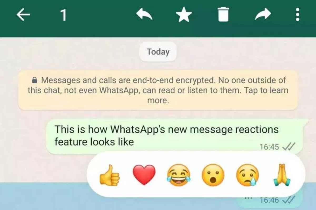 whatsapp reaction (fonte web)
