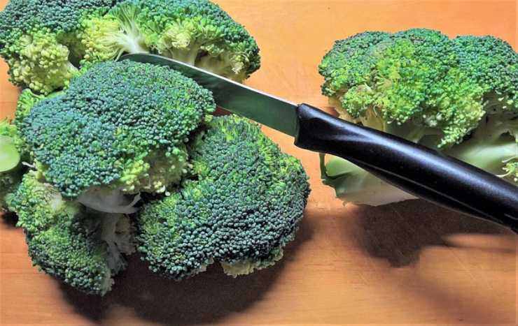 Broccoli - CrMag.it 