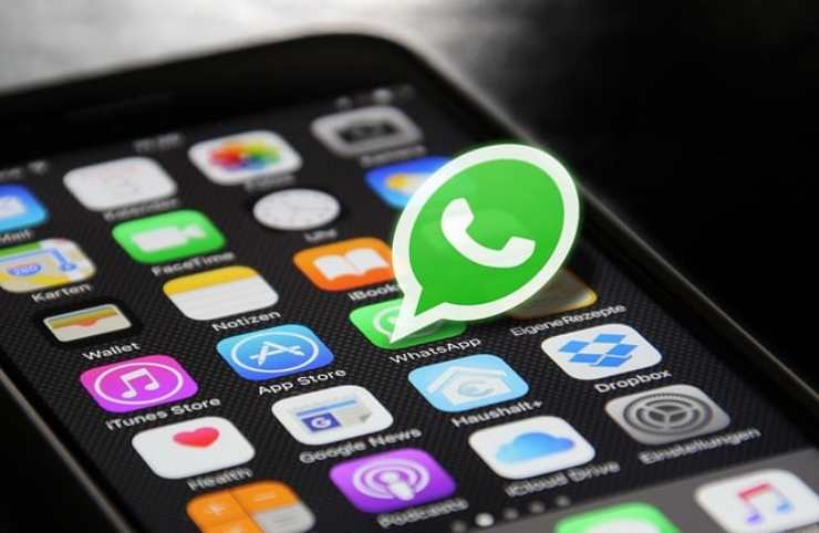 WhatsApp trasferimento chat