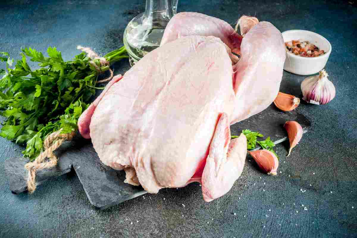 pollo cucinato congelato rischi