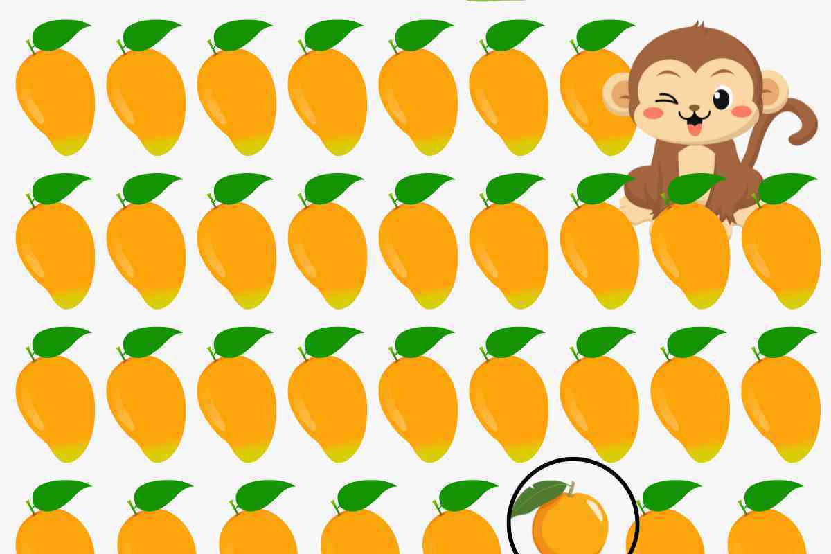 soluzione test arancia mango