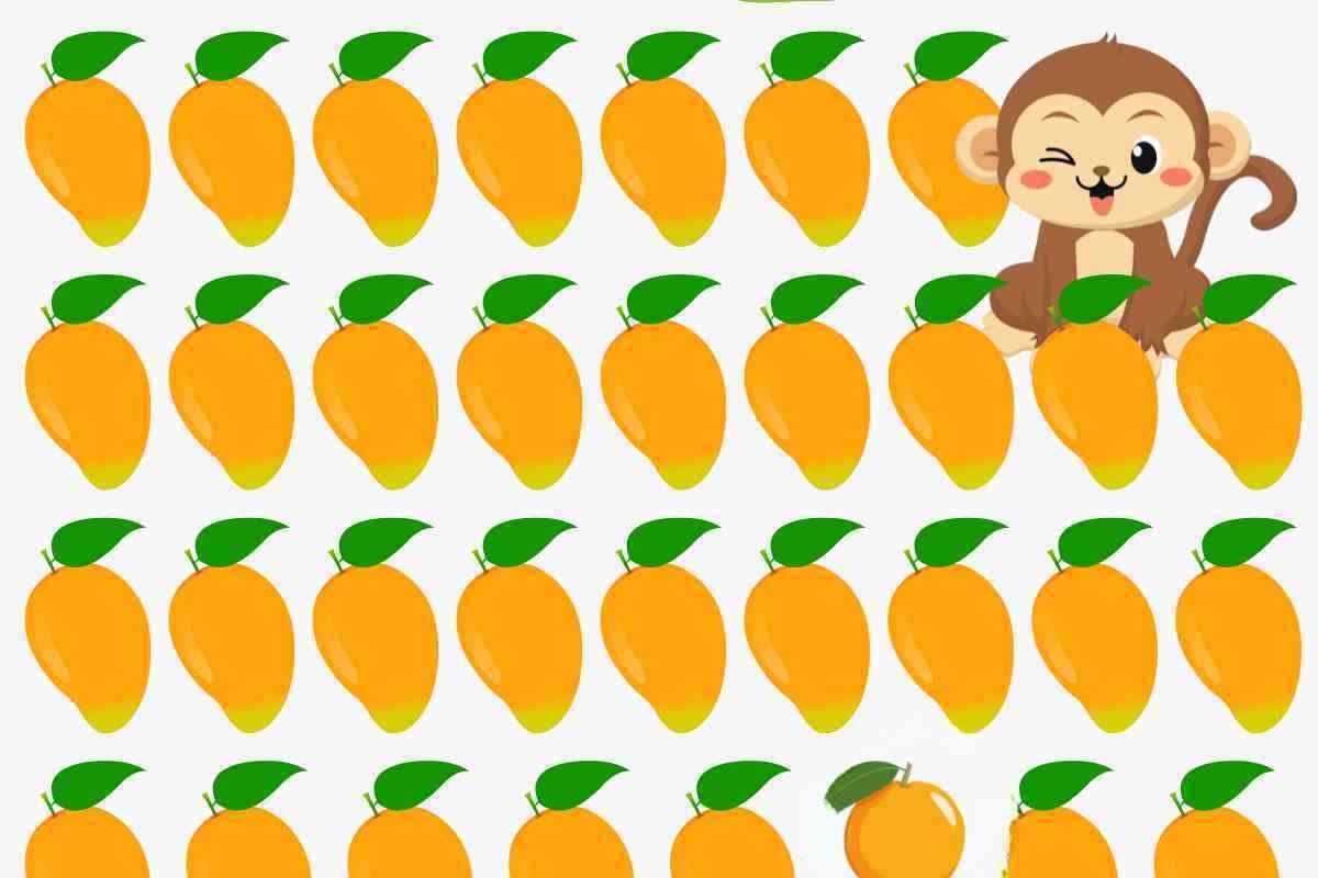 test mango arancia