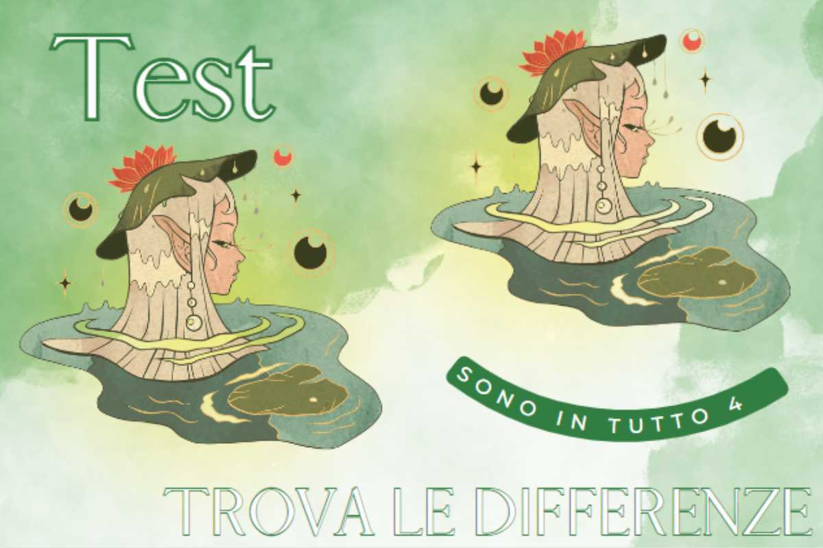 Test-elfo- riesci a trovare le differenze?